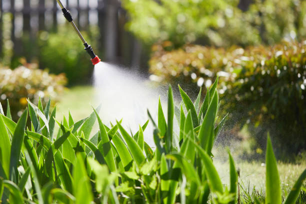 24/7 Emergency Ant Control experts in Goldsboro, NC