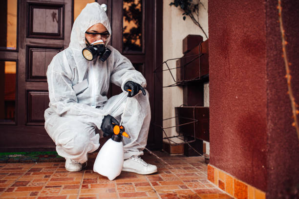 Reliable Ant Control contractor in Goldsboro, NC by Nex Pest Control